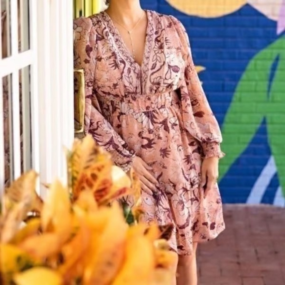 OPT Anthropologie‎ Degage Long Sleeve Peasant Fit & Flare Dress Small